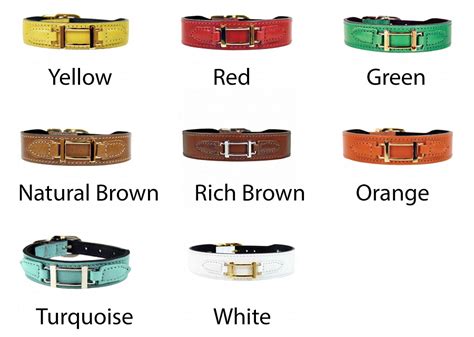 hermes dog collar price.